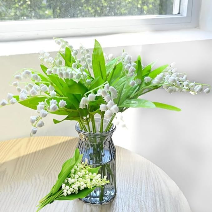 10 Lily of The Valley Bulbs for Planting, Perennial Lily Flower Bulbs, Fragrant White Blooms for Shade Gardens