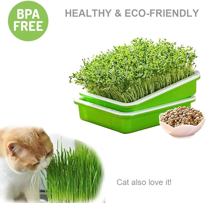 SUNPRO 2-Pack Seed Sprouter Tray BPA Free PP Soil-Free Big Capacity Healthy Wheatgrass Grower Sprouting Container Kit with Lid (2, Green)
