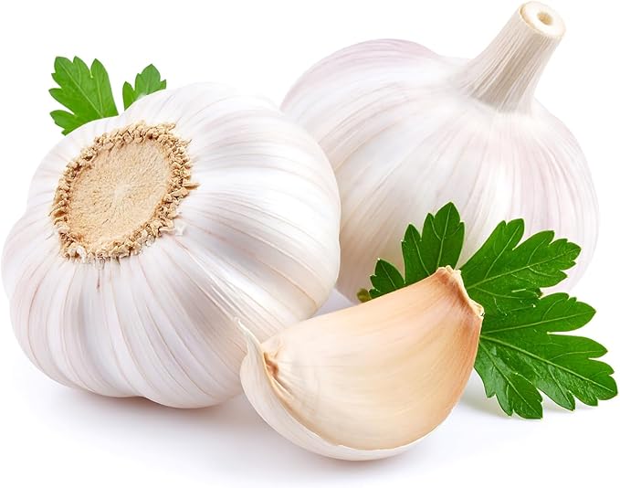 Softneck Garlic Bulbs for Planting - California Garlic to Grow at Home (2 Seed Bulbs)