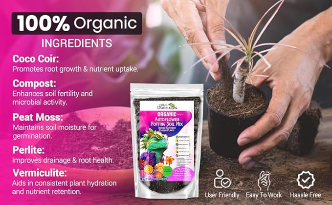 Organic Autoflower Potting Soil Mix – Ready-to-Use Living Soil, No Fertilizers Needed – Balanced Nutrients, Light Texture, Excellent Drainage, Boosts Germination & Root Growth (3 quarts)