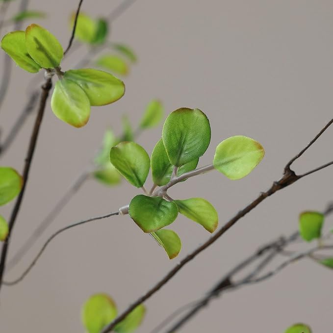 mizii 5pcs Artificial Greenery Stems 38in Realistic Faux Ficus Branches Long Stem with Green Leaves Fake Plants Eucalyptus Stems Greenery Decoration for Vase Table Room Home Indoor Decor (Green)