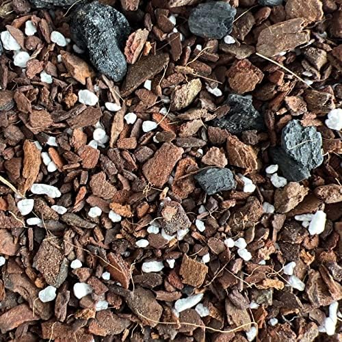Snake Plant Imperial Houseplant Potting Soil Mix by rePotme - Junior Bag (4 Quarts)