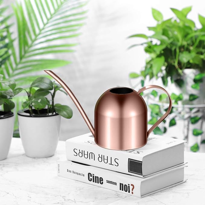 Yardwe 1000ml Stainless Steel Watering can for Indoor Plants, Long Spout Watering Pot for Garden Home Office, Rose Gold