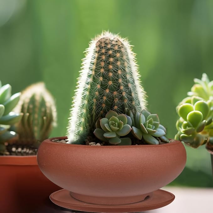 MUZHI 5.3” Round Ceramic Bonsai Starter Pots with Trays Set of 2 Brown and Red, Small Vintage Unglazed Succulent Pots with Saucers Minimalist Classic Mame Bonsai Planter with Drainage