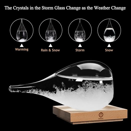 Storm Glass Weather Predictor,Christmas Snow Globe Storm Glass Barometer Weather Predictor, Home and Office Decorative Glass Bottles, Christmas Unique Gifts for Her (L)