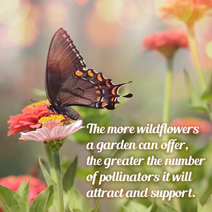 Monarch Butterfly Rescue Wildflower Seed Packet - 1oz, Open-Pollinated Wildflower, No Fillers, Annuals, Perennials and Milkweed Seeds for Monarch Butterfly 1oz (Pack of 2)