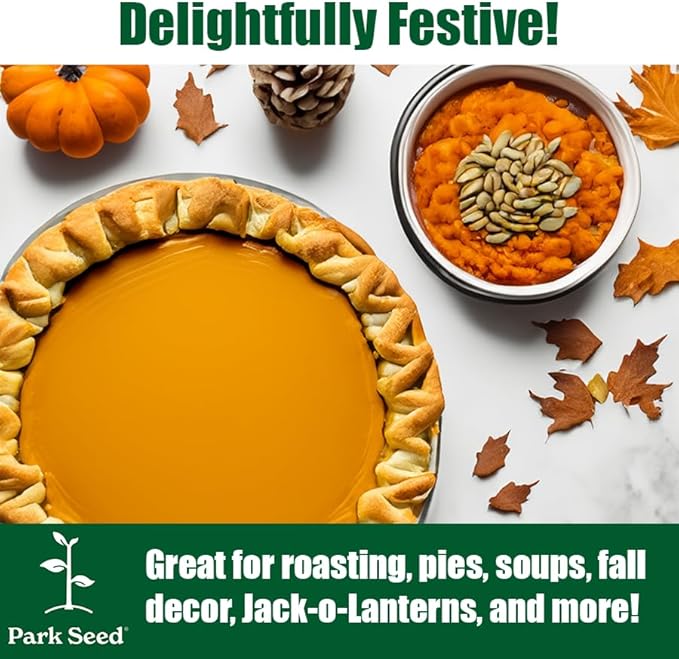 Park Seed Super Moon F1 Pumpkin Seeds – Non-GMO, AAS-Winning White Pumpkins for Carving, Decorating & Cooking, Powdery Mildew Resistant, 25–50 lb Fruits, Pack of 10