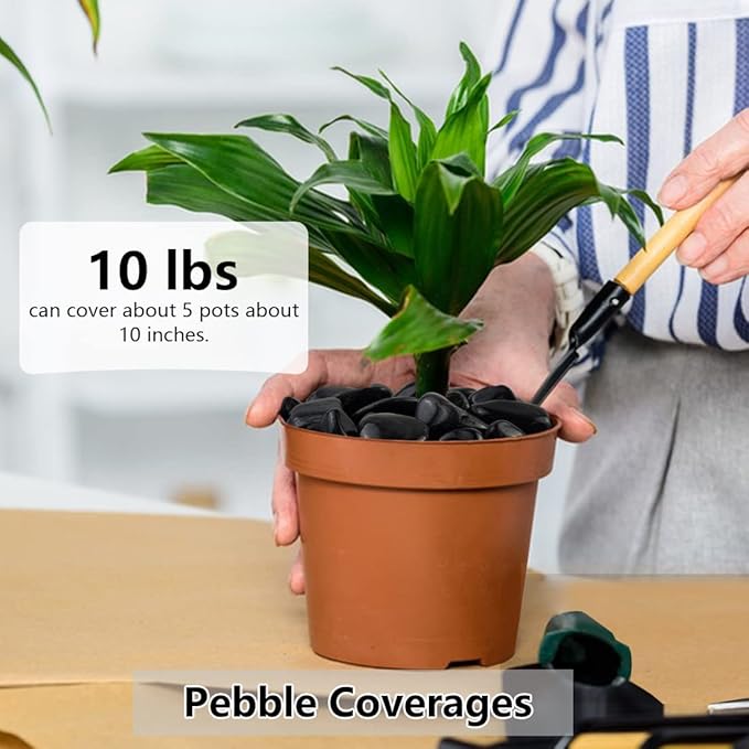 10lbs Black Pebbles for Plants, 1-2 Inch High Polished Natural River Rocks for Landscaping, Decorative Stones Vase Filler Fish Tank Aquariums Garden Outdoor and Indoor DIY