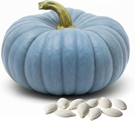 Exotic Blue Pumpkin Seeds | 10 Seeds Packet | Blue Jarrahdale Pumpkin | Beautiful Slate Color for Fall Décor & Baking | Easy Heirloom Seeds