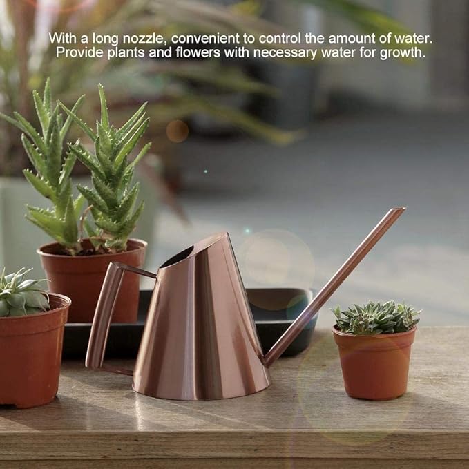AUNMAS Bonsai Watering Can with Long Straight Spout, Stainless Steel Watering Can Pot for Indoor Houseplant Bonsai Flower, Gardening Kettle 900ml (M)