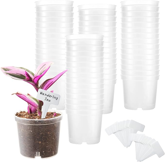 60 Pcs 4 Inch Clear Nursery Pots for Plants, Transparent Plastic Plant Pots with Drain Holes, Seed Starter Pots with 20 Plant Labels for Flowers Vegetable Seedlings