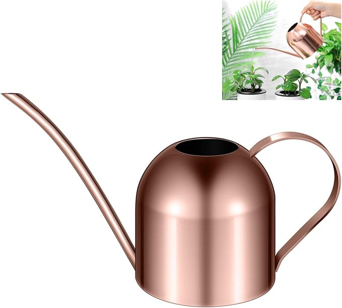 Yardwe 1000ml Stainless Steel Watering can for Indoor Plants, Long Spout Watering Pot for Garden Home Office, Rose Gold