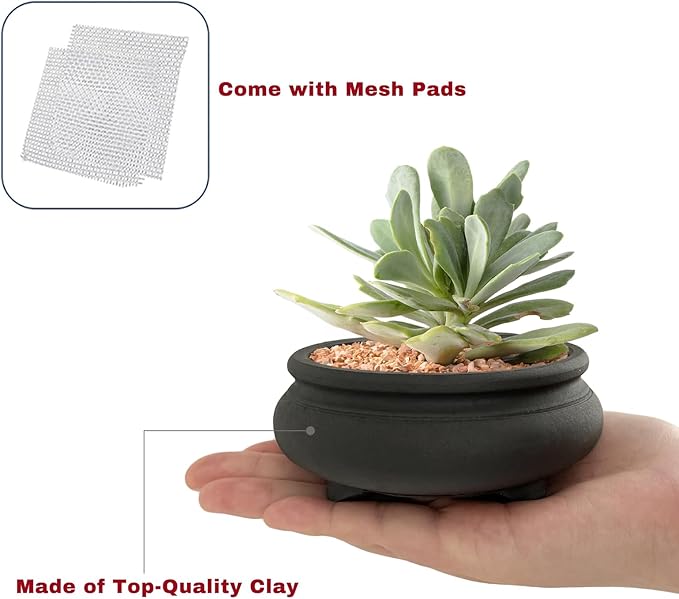Bonsai Planter 2 pc 3.9" + 4.1" Unglazed Round Ceramic Succulent Pots Set
