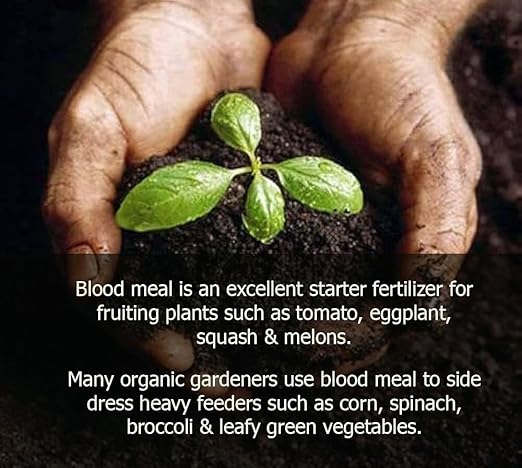 𝐁𝐄𝐒𝐓𝐒𝐄𝐋𝐋𝐄𝐑 Organic Blood Meal Fertilizer by Gardenera - 12-0-0 NPK - All-Natural Plant Food Source of Nitrogen for Organic Gardening, Flowers, Vegetables, Trees & Shrubs - 3 QUARTS