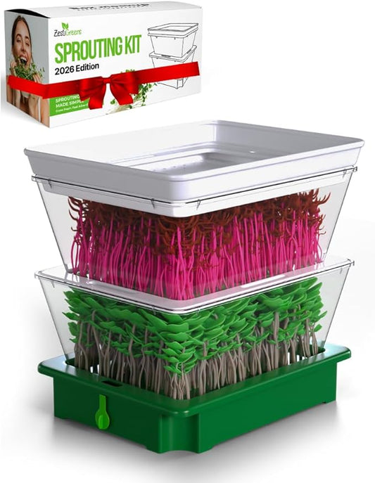 ZESTIGREENS 2-Tier Sprouting Kit with Drain Spout – Stackable Seed Sprouter Trays for Growing Fresh Sprouts at Home – BPA-Free, Easy Rinse & Drain System