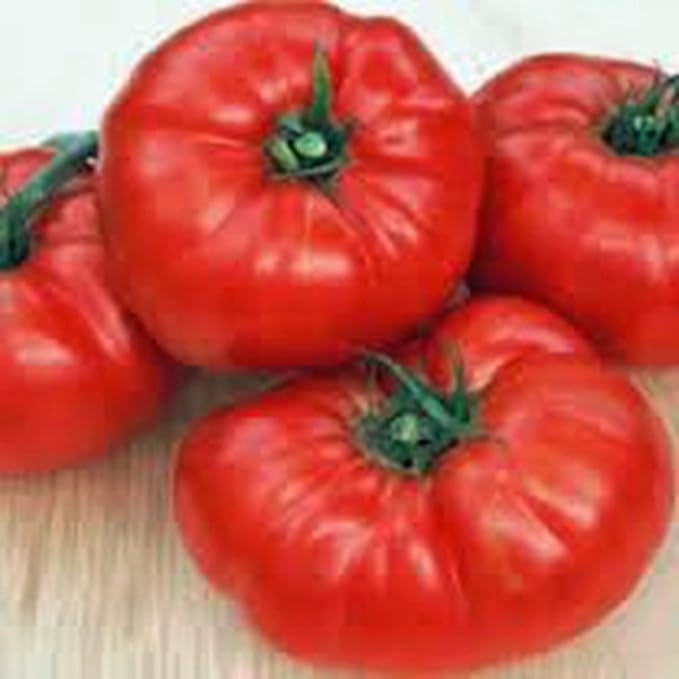 Tomato, Beefsteak, Heirloom, 100 Seeds, Great Sliced Tomato, Delicious