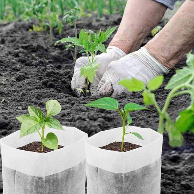 Belit Large Non-Woven Seedlings Grow Bag,50PCS (11.2"x10.2") Fabric Nursery Bags for Plants,Fabric Plant Pots for Planting,Gardening Transplanted Home Garden Supplies