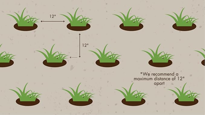 Centipede Grass Plug Tray | EZ Plug 50 Grass Plugs Per Tray