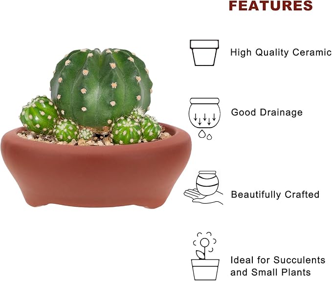 Bonsai Planter 2 pc 3.7" + 3.9" Unglazed Round Ceramic Succulent Pots Set