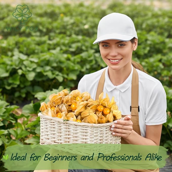 Premium Cape Gooseberry Seeds (Physalis peruviana) – 100+ Non-GMO Heirloom Seeds for Planting – Sweet, Tangy Ground Cherries with High Germination Rate