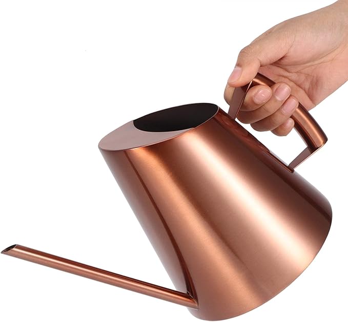 AUNMAS Bonsai Watering Can with Long Straight Spout, Stainless Steel Watering Can Pot for Indoor Houseplant Bonsai Flower, Gardening Kettle 900ml (M)