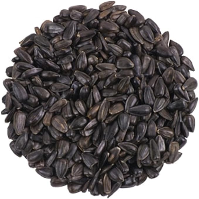 CountryMax Backyard Seeds Black Oil Sunflower Seeds for Wild Birds – 25 lb Bag – High-Energy Food for Cardinals, Jays, Woodpeckers – Backyard Feeder Favorite