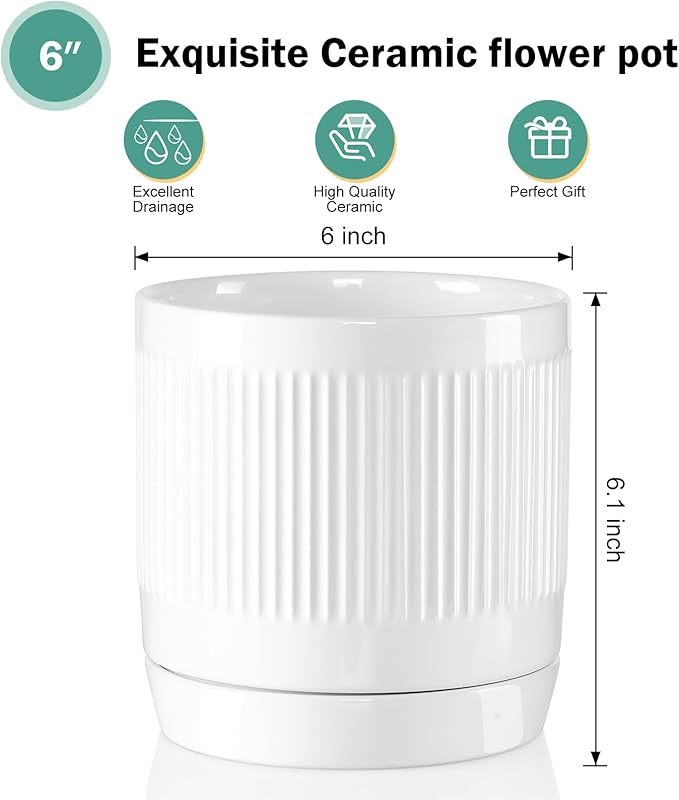 Vanavazon Ceramic Planter Pots for Indoor Plants with Drainage Hole and Saucer,6 Inch Cylinder Plant Pots,Glazed Finish Interior and Exterior,Set of 2 (White)