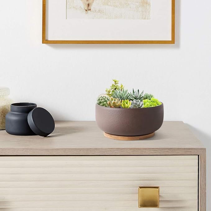 SQOWL Terracotta Bonsai Planter Pot for Succulent 8 Inch Pottery Round Planter Cactus Clay Flower Pot with Drain Hole and Bamboo Tray Indoor Outdoor