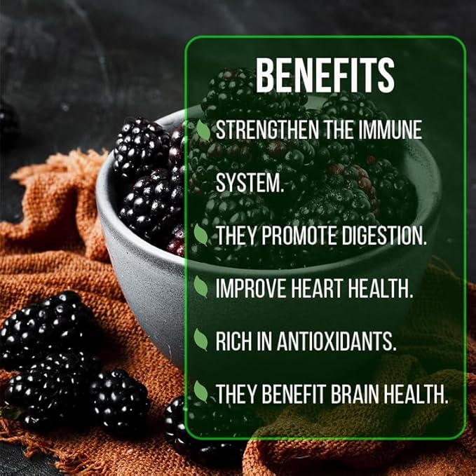 BlackBerry Plant Freedom-Ark (4 Pack) | Live Fruit Plant for Planting | Thornless & High-Yielding Variety | Large, Sweet & Juicy Berries | Perfect for Fresh Eating & Organic Gardens | Easy to Grow