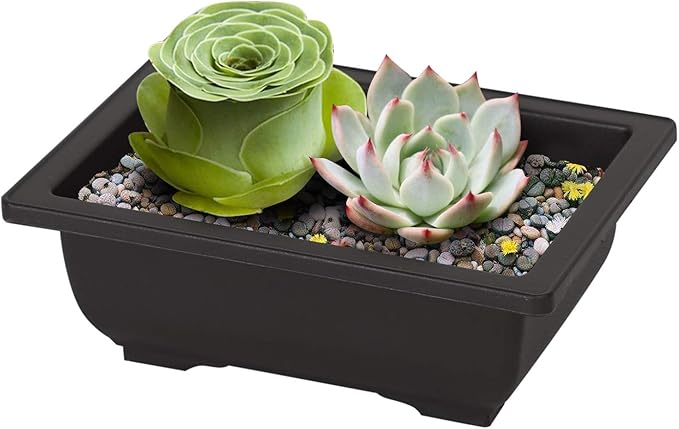 KINJOEK 15 PCS 6.5 Inch Plastic Bonsai Training Pots with Drainage Trays, Rectangular Plant Bonsai Tree Pot, Flower Succulent Growing Seedling Pot Container Planter for Garden Indoor Home Decorative