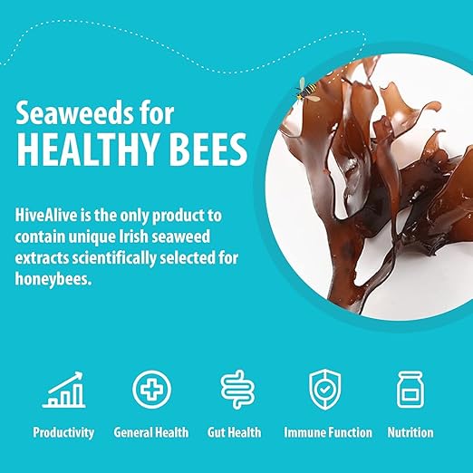 HIVE ALIVE Bee Food Supplement - Honey Bee Liquid Concentrate Feed Enhancer - Beekeeping Fall Spring Feeding – Lowers Winter Mortality, Boosts Gut Health, Colony Size (500 ml, 50 Hives)