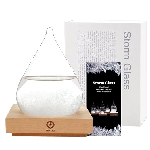 Storm Glass Weather Predictor,Christmas Snow Globe Storm Glass Barometer Weather Predictor, Home and Office Decorative Glass Bottles, Christmas Unique Gifts for Her (M)