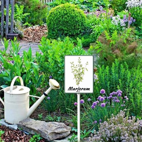 FemiaD Plant Label Signs Planted Herb Garden Markers Waterproof Aluminum Plant Stake Tags Marjoram Sign for Nursery Indoor Outdoor Garden Decoration 8x12inch