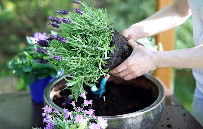 Gardenera Moisture Control Potting Mix - Perfect for Indoor and Outdoor Container Gardening! - 2 Quart