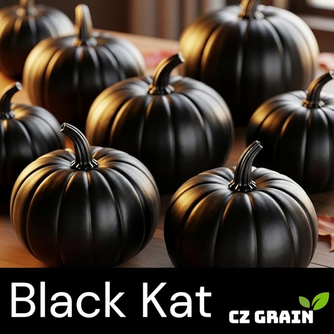 Exotic Black Kat Pumpkin Seeds for Planting (10 Seeds) – Deep Black, Smooth-Skinned Pumpkins – Rare Decorative Variety for Fall Gardens, Halloween Displays & Autumn Décor