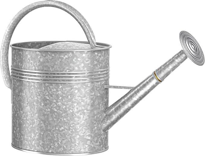 2.5 Gallon Ellipse Decorative Countryside Style Water Can with Removable Spout, Galvanized Watering Can for Outdoor Indoor Plants, Metal Watering Can for Indoor Plants and Garden Flower