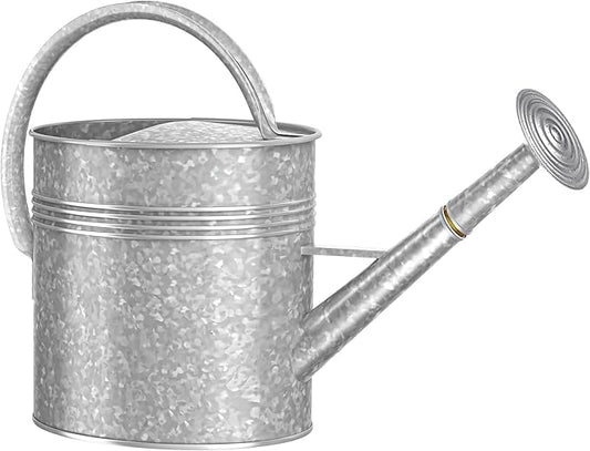 2.5 Gallon Ellipse Decorative Countryside Style Water Can with Removable Spout, Galvanized Watering Can for Outdoor Indoor Plants, Metal Watering Can for Indoor Plants and Garden Flower