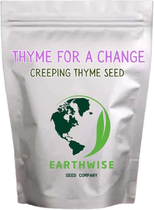 Thyme for a Change – Red Creeping Thyme Seed – 1 oz, Covers 500 sq ft (~16,000 Seeds)