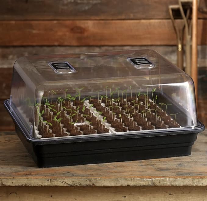 Park Seed Double-Sized Bio Dome Seed Starter Kit with Two 40 Jumbo Cell Planting Blocks, Base Tray, Humidity Dome & 80 Bio Sponges
