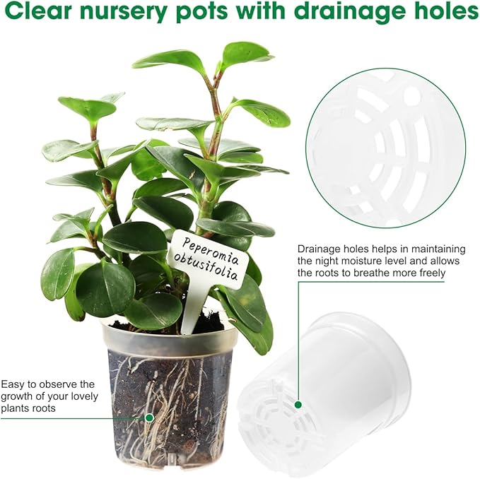 4.3 Inch Clear Nursery Pots for Plants, Transparent Plastic Plant Pots with Drain Holes, Seed Starter Pots with 20 Plant Labels for Flowers Vegetable Seedlings 20 Packs