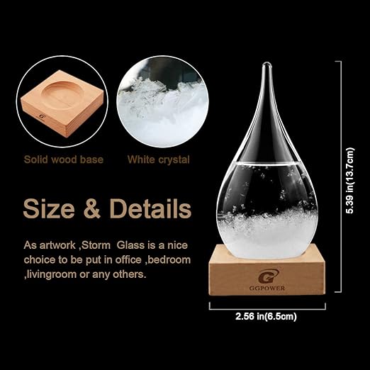 Storm Glass Weather Predictor,Christmas Snow Globe Storm Glass Barometer Weather Predictor, Home and Office Decorative Glass Bottles, Christmas Unique Gifts for Her