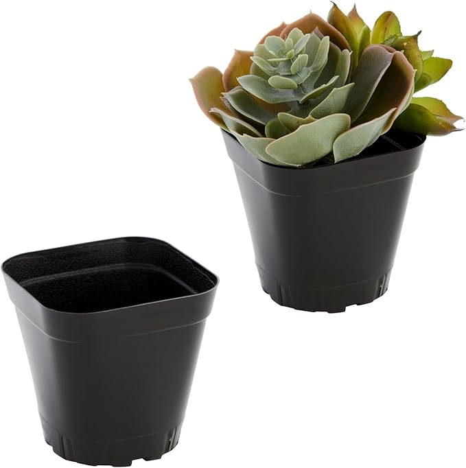 Juvale Square Nursery Pots - Seedling Planters with Drainage Holes - Versatile Pots for Plants & Succulents - Space-Saving Stackable Planters - 2.6 in, Pack of 150, Black