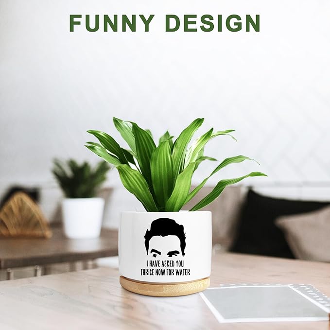 Funny Succulent Planter, Flower Cactus Plant Pot for Indoor Plants, Fun Planter Pots with Drainage and Tray, Office Home Windowsill Decor Planter Gift for Coworker Men (No Plants)