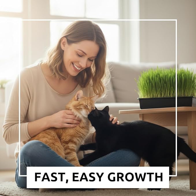 Cat Grass Seeds for Growing | 4 Way Blend, Rye, Wheat, Oats and Barley | Made in USA, Ships from Iowa. (10 Pounds)