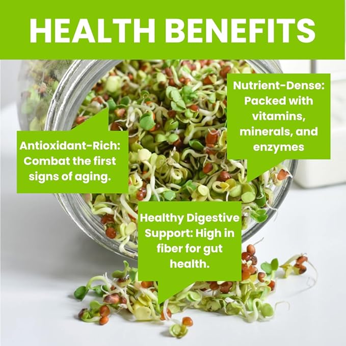 ZestiGreens Fresh Sprouting Seeds Mix Broccoli, Alfalfa, Radish, Clover Seeds in Food Grade Colorful Container with Lid for Easier Scooping & Keeping Fresher (0.5 lb)