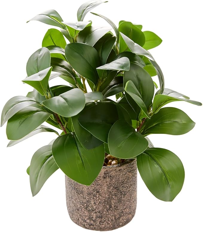 Indoor Faux Ficus Plant 13.5 inch Artificial Greenery in Rustic Cement Planter Realistic Dark Green Leaves with Textured Pot Maintenance-Free Small Fake Plant for Home Office Decor