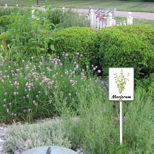 FemiaD Plant Label Signs Planted Herb Garden Markers Waterproof Aluminum Plant Stake Tags Marjoram Sign for Nursery Indoor Outdoor Garden Decoration 8x12inch