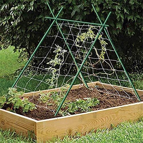 Plant Stakes 48inch 20pack, 1/2inch Diameter Garden Stakes, Garden Poles Tree Stake for Cucumber Potato Fence, Never Rust, 4ft Long