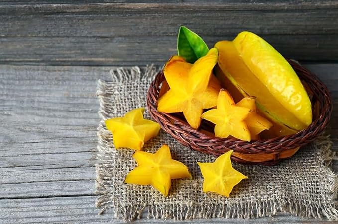 GARDENERA Premium Carambola Potting Soil Mix - Perfect Balance of Nutrients, Drainage, and Aeration for Thriving Starfruit Trees - 1 Quart