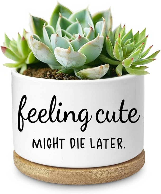 Funny Succulent Planter, Flower Cactus Plant Pot for Indoor Plants, Cute Planter Pots with Drainage and Tray, Office Home Windowsill Decor Planter Gift for Women Men (No Plants)